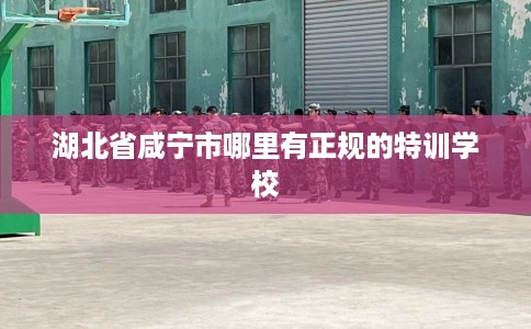 湖北省咸宁市哪里有正规的特训学校