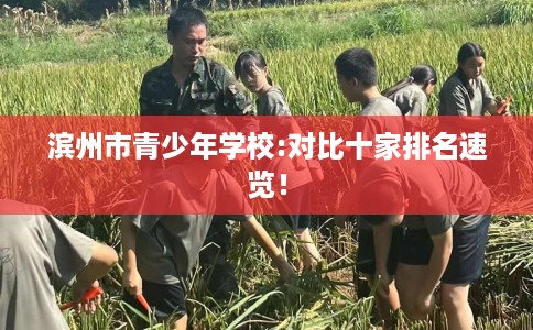 滨州市青少年学校:对比十家排名速览! 滨州市青少年学校:对比十家排名速览!