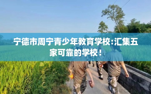 宁德市周宁青少年教育学校:汇集五家可靠的学校！