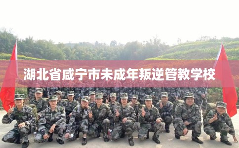 湖北省咸宁市未成年叛逆管教学校