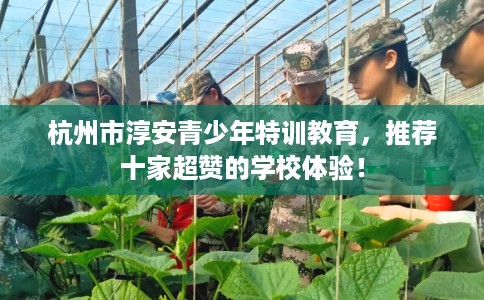 杭州市淳安青少年特训教育，推荐十家超赞的学校体验！