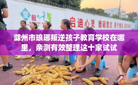 滁州市琅琊叛逆孩子教育学校在哪里，亲测有效整理这十家试试