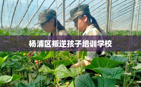 杨浦区叛逆孩子培训学校