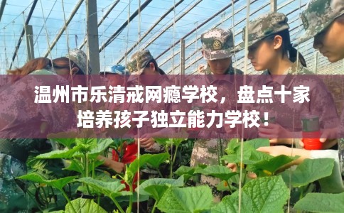 温州市乐清戒网瘾学校,盘点十家培养孩子独立能力学校! 温州市乐清戒网瘾学校,盘点十家培养孩子独立能力学校!