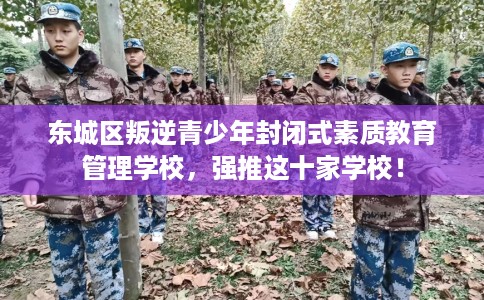 东城区叛逆青少年封闭式素质教育管理学校，强推这十家学校！