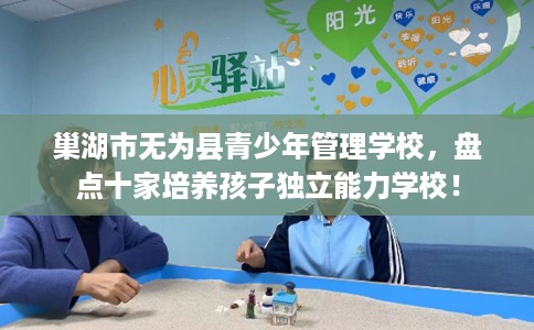 巢湖市无为县青少年管理学校，盘点十家培养孩子独立能力学校！