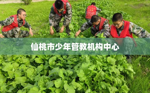 仙桃市少年管教机构中心 仙桃市少年管教机构中心
