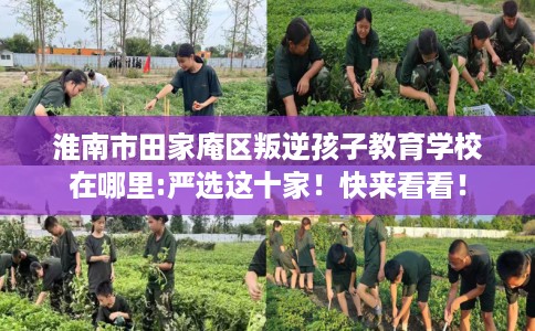 淮南市田家庵区叛逆孩子教育学校在哪里:严选这十家!快来看看! 淮南市田家庵区叛逆孩子教育学校在哪里:严选这十家!快来看看!