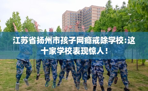 江苏省扬州市孩子网瘾戒除学校:这十家学校表现惊人! 江苏省扬州市孩子网瘾戒除学校:这十家学校表现惊人!