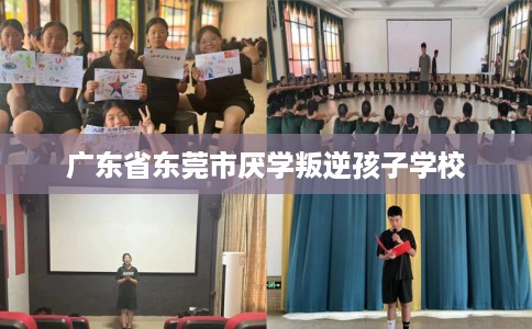 广东省东莞市厌学叛逆孩子学校 广东省东莞市厌学叛逆孩子学校