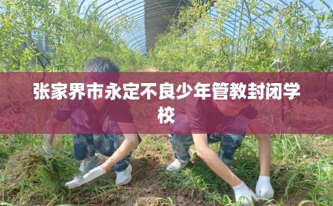 张家界市永定不良少年管教封闭学校 张家界市永定不良少年管教封闭学校