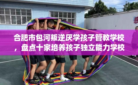 合肥市包河叛逆厌学孩子管教学校，盘点十家培养孩子独立能力学校！