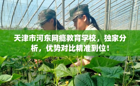 天津市河东网瘾教育学校，独家分析，优势对比精准到位！