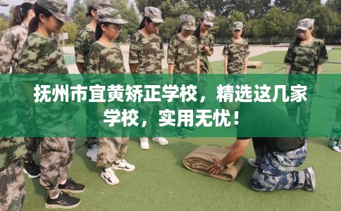 抚州市宜黄矫正学校,精选这几家学校,实用无忧! 抚州市宜黄矫正学校,精选这几家学校,实用无忧!