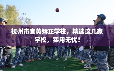 抚州市宜黄矫正学校，精选这几家学校，实用无忧！
