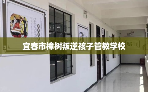宜春市樟树叛逆孩子管教学校