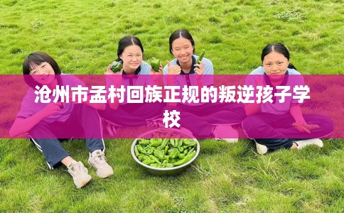 沧州市孟村回族正规的叛逆孩子学校