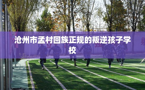 沧州市孟村回族正规的叛逆孩子学校