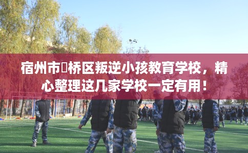 宿州市埇桥区叛逆小孩教育学校,精心整理这几家学校一定有用! 宿州市埇桥区叛逆小孩教育学校,精心整理这几家学校一定有用!