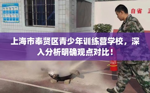 上海市奉贤区青少年训练营学校，深入分析明确观点对比！