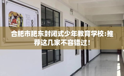 合肥市肥东封闭式少年教育学校:推荐这几家不容错过！