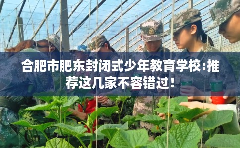 合肥市肥东封闭式少年教育学校:推荐这几家不容错过！