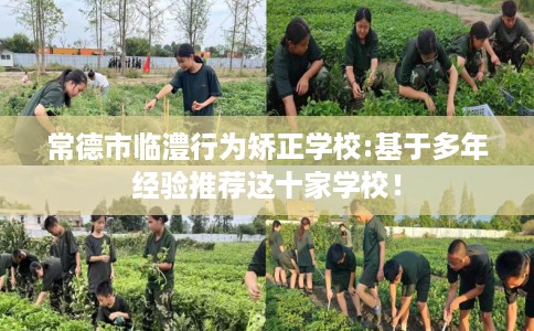常德市临澧行为矫正学校:基于多年经验推荐这十家学校! 常德市临澧行为矫正学校:基于多年经验推荐这十家学校!