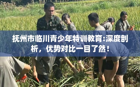 抚州市临川青少年特训教育:深度剖析，优势对比一目了然！