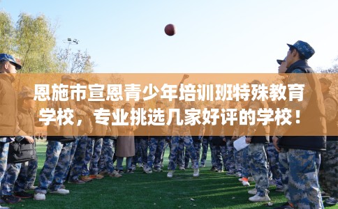 恩施市宣恩青少年培训班特殊教育学校，专业挑选几家好评的学校！