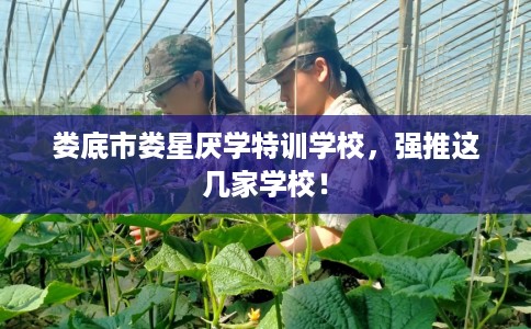 娄底市娄星厌学特训学校,强推这几家学校! 娄底市娄星厌学特训学校,强推这几家学校!