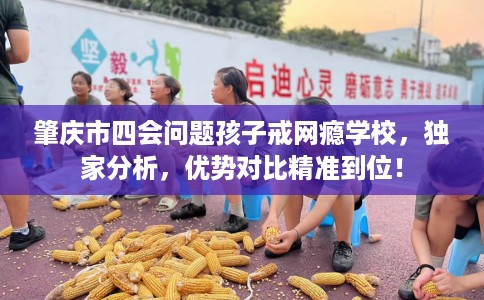 肇庆市四会问题孩子戒网瘾学校，独家分析，优势对比精准到位！