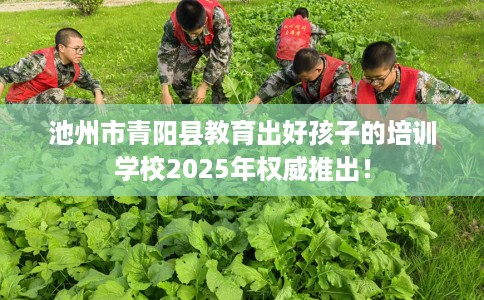 池州市青阳县教育出好孩子的培训学校2025年权威推出! 池州市青阳县教育出好孩子的培训学校2025年权威推出!