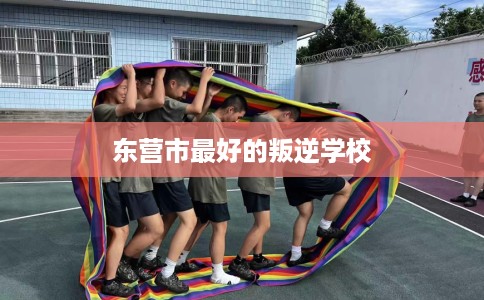东营市最好的叛逆学校 东营市最好的叛逆学校