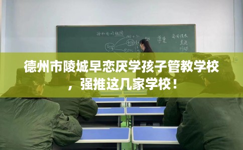 德州市陵城早恋厌学孩子管教学校,强推这几家学校! 德州市陵城早恋厌学孩子管教学校,强推这几家学校!
