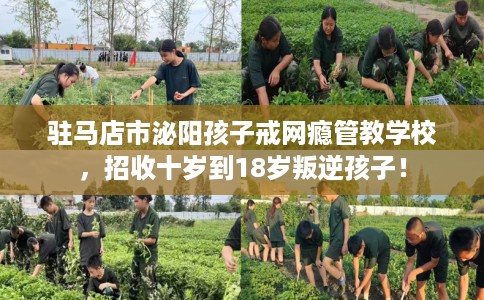 驻马店市泌阳孩子戒网瘾管教学校,招收十岁到18岁叛逆孩子! 驻马店市泌阳孩子戒网瘾管教学校,招收十岁到18岁叛逆孩子!