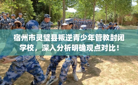 宿州市灵璧县叛逆青少年管教封闭学校,深入分析明确观点对比! 宿州市灵璧县叛逆青少年管教封闭学校,深入分析明确观点对比!