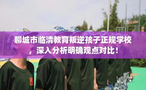 聊城市临清教育叛逆孩子正规学校,深入分析明确观点对比! 聊城市临清教育叛逆孩子正规学校,深入分析明确观点对比!