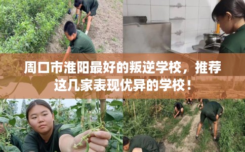 周口市淮阳最好的叛逆学校，推荐这几家表现优异的学校！