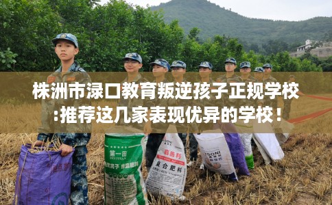 株洲市渌口教育叛逆孩子正规学校:推荐这几家表现优异的学校! 株洲市渌口教育叛逆孩子正规学校:推荐这几家表现优异的学校!