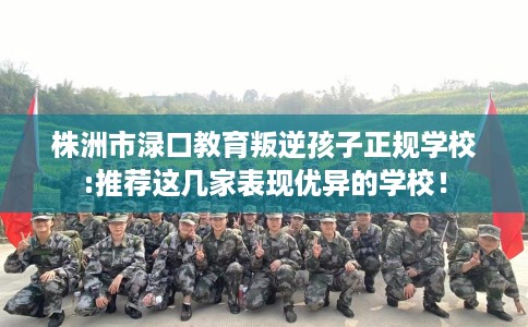 株洲市渌口教育叛逆孩子正规学校:推荐这几家表现优异的学校！