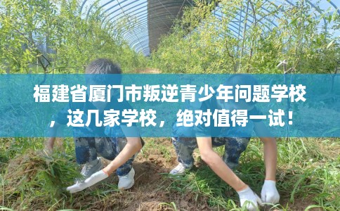 福建省厦门市叛逆青少年问题学校，这几家学校，绝对值得一试！