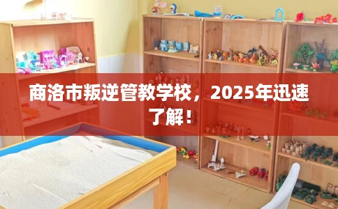 商洛市叛逆管教学校，2025年迅速了解！
