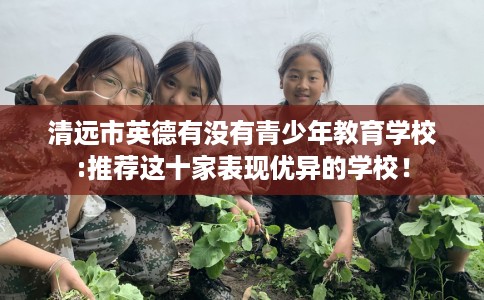 清远市英德有没有青少年教育学校:推荐这十家表现优异的学校！