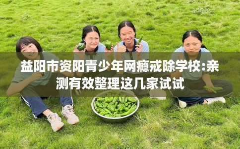 益阳市资阳青少年网瘾戒除学校:亲测有效整理这几家试试 益阳市资阳青少年网瘾戒除学校:亲测有效整理这几家试试