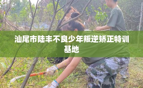 汕尾市陆丰不良少年叛逆矫正特训基地