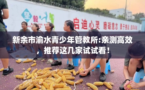 新余市渝水青少年管教所:亲测高效，推荐这几家试试看！