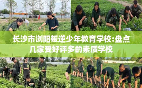 长沙市浏阳叛逆少年教育学校:盘点几家受好评多的素质学校 长沙市浏阳叛逆少年教育学校:盘点几家受好评多的素质学校