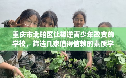 重庆市北碚区让叛逆青少年改变的学校，筛选几家值得信赖的素质学校！