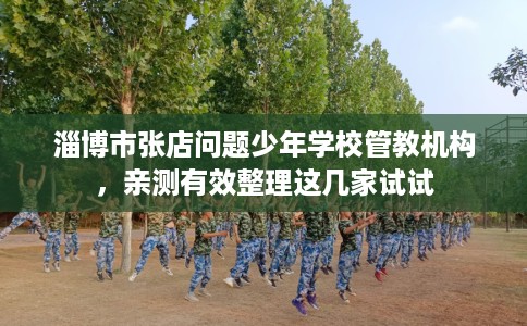 淄博市张店问题少年学校管教机构,亲测有效整理这几家试试 淄博市张店问题少年学校管教机构,亲测有效整理这几家试试