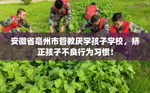 安徽省亳州市管教厌学孩子学校，矫正孩子不良行为习惯！